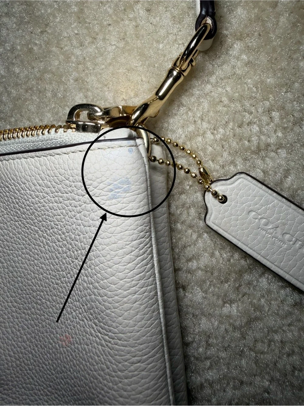 Coach Pebble Leather Lyla Crossbody Shoulder Purse Bag Clutch White F38173